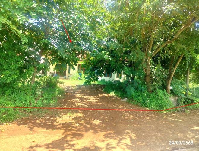 picture HOME 308 Sq.w. Akat Amnuai Sakon Nakhon for 3.2M - 3/14