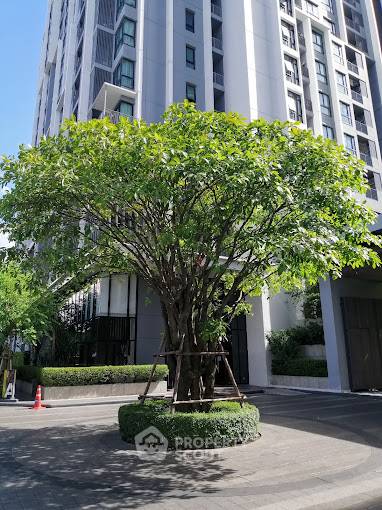 รูป ชั้น 23 ห้อง 1 ห้องนอน ขาย Quinn Condo Ratchada 17 ใกล้ MRT สุทธิสาร (ID 1511062) - รูปที่ 11/32