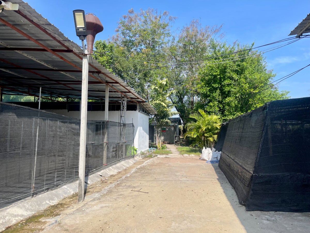 รูป ขายที่ดินสวย พร้อมสิ่งปลูกสร้าง โรงเรือน 9 ไร่ ต.บ้านใหม่ อ.ท่าม่วง จ.กาญจนบุรี - รูปที่ 7/8