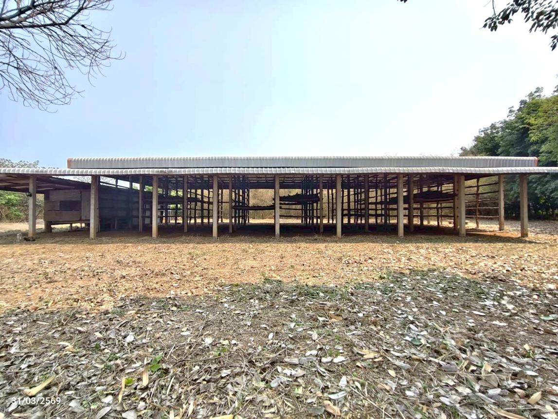picture FACTORY 7657.2 Sq.w. Laplae Uttaradit for 3.9M - 13/26