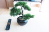 listing thumbnail image 17