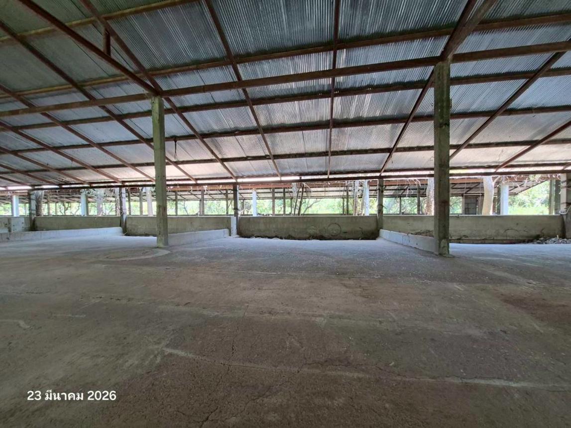 picture FACTORY 4023 Sq.w. Wiang Chai Chiang Rai for 4.5M - 29/34