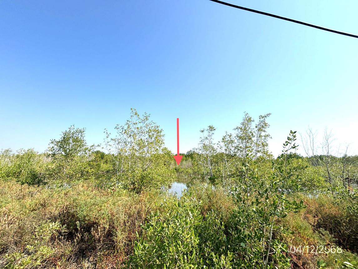 picture LAND 6851 Sq.w. Muang Samut Songkhram Samut Songkram for 68.5M - 10/14