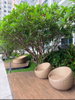 listing thumbnail image 16