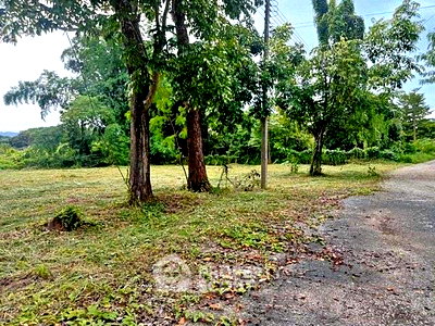 Land for sale Chiang Mai Rajabhat University : 4,432 m² Land for Sale close to Nimmanhaemin (ID 2958072)
