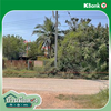 listing thumbnail image 15
