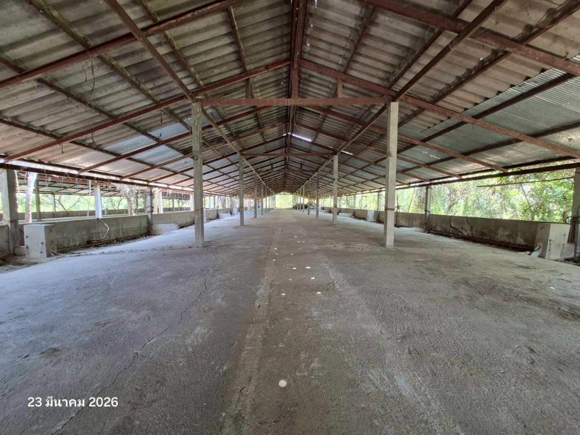 picture FACTORY 4023 Sq.w. Wiang Chai Chiang Rai for 4.5M - 25/34