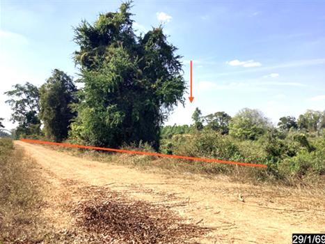 picture LAND 3170 Sq.w. Chum Phuang Nakhon Ratchasima for 5.5M - 13/16