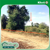 listing thumbnail image 13