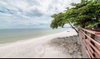 listing thumbnail image 8