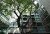 listing thumbnail image 15