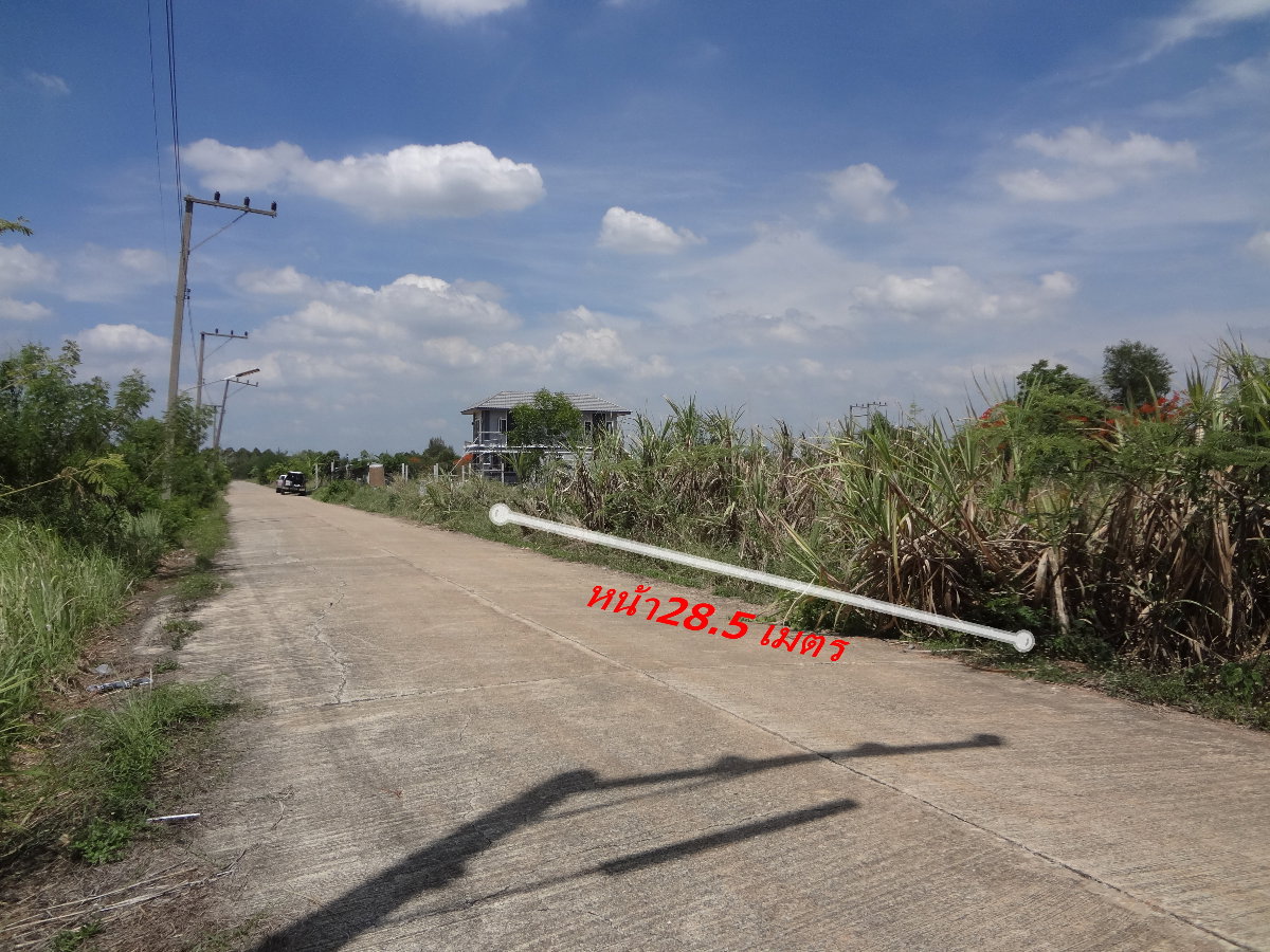 รูป ที่ดินคลองหลวงคลองสี่-คลองแอน ซ.เพชรสมหวัง(คลองสี่ต.ต.26)พื้นที่200ตารางวาแปลงสวยสาธารณูปโภคครบ ใก้ลสนง.ขนส่ง,แม็คโคร,โลตัส,ตลาดไท เหมาะปลูกบ้าน/โกดัง - รูปที่ 3/8