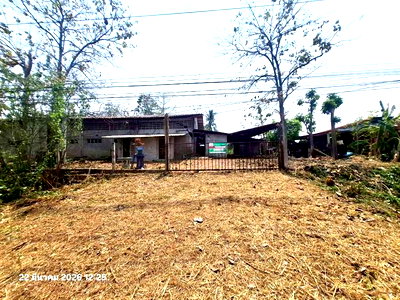 ที่ดิน ศรีสำโรง สุโขทัย : ฟาร์ม 848.1 ตร.วา ศรีสำโรง สุโขทัย 2.2M