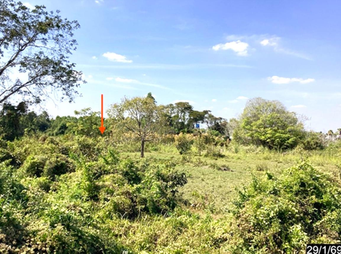 picture LAND 3170 Sq.w. Chum Phuang Nakhon Ratchasima for 5.5M - 12/16
