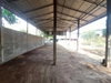 listing thumbnail image 28