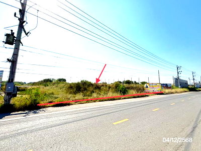Land for sale Don Hoi Lot : LAND 6851 Sq.w. Muang Samut Songkhram Samut Songkram for 68.5M