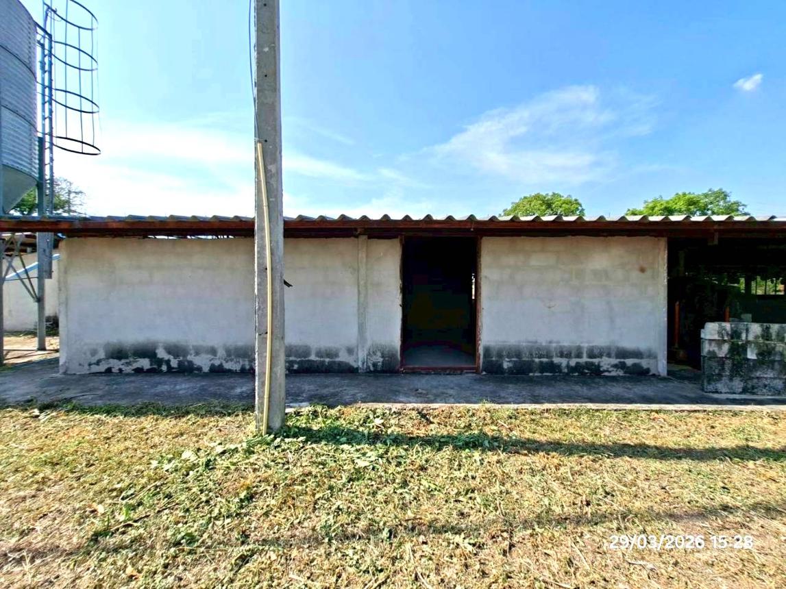 picture LAND 2626 Sq.w. Lao Khwan Kanchanaburi for 3.1M - 25/34