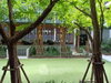 listing thumbnail image 30