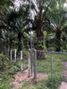 listing thumbnail image 9