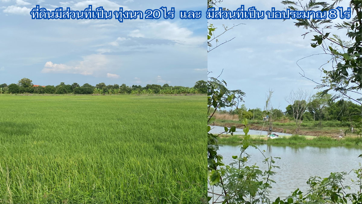 รูป ขายที่ติดคลอง 28 ไร่ ต.บ้านโพธิ์ อ.บ้านโพธิ์ จ.ฉะเชิงเทรา - รูปที่ 4/6