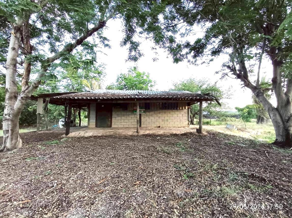 picture LAND 2626 Sq.w. Lao Khwan Kanchanaburi for 3.1M - 16/34