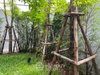 listing thumbnail image 26