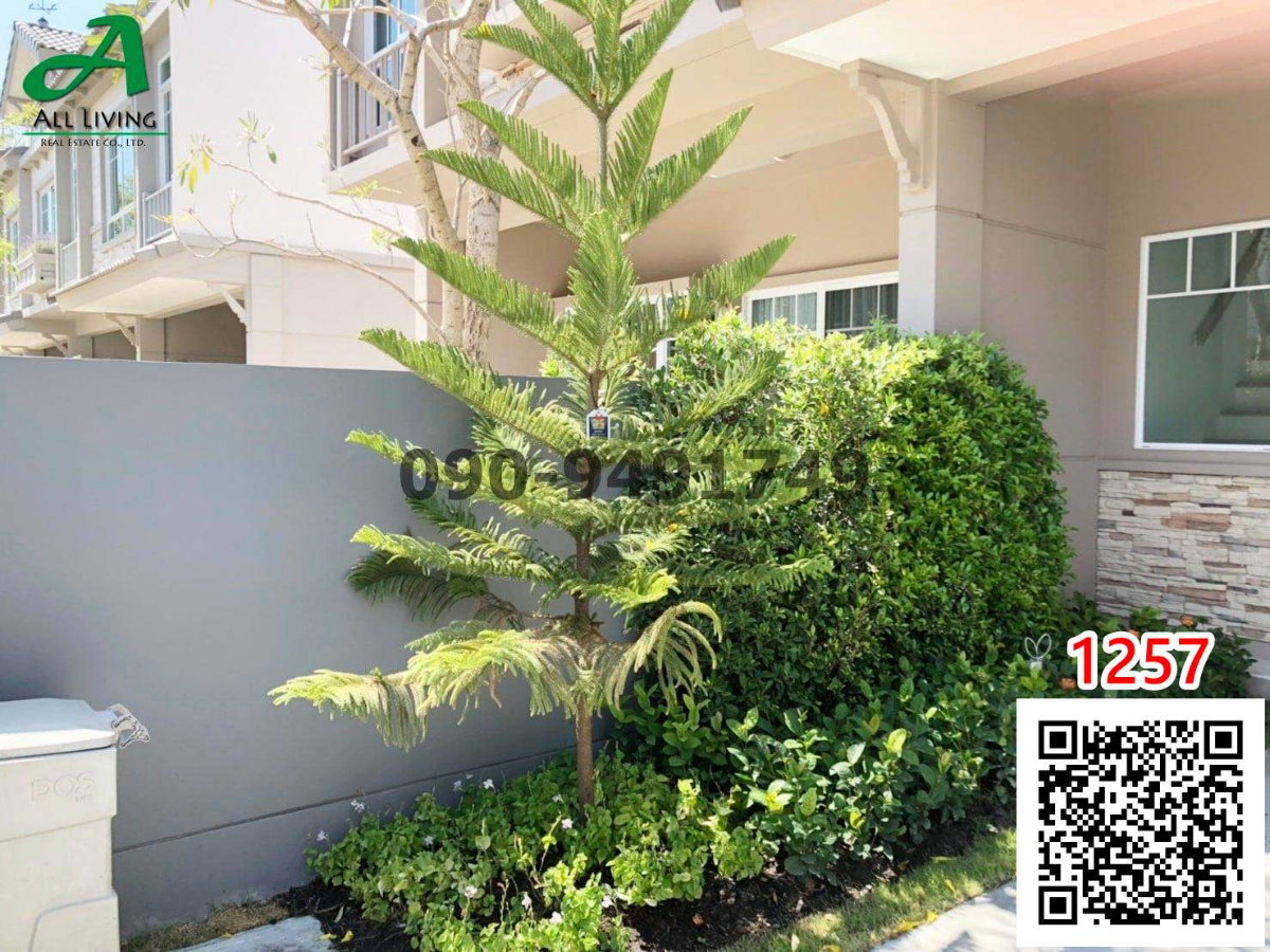 รูป เช่า ทาวน์โฮม วิลลาจจิโอ เพชรเกษม-สาย 4 Villaggio Phetkasem-Sai 4 - รูปที่ 3/9