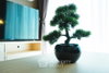 listing thumbnail image 24