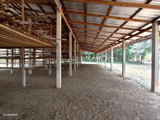 picture FACTORY 7657.2 Sq.w. Laplae Uttaradit for 3.9M - 11/26