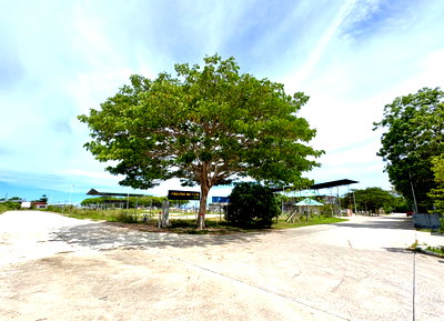 Land for sale Asia Terminal Industrial Estate : Call : 098-294-4666 Land for sell Road behind Wat Map Ta Phut, Map Ta Phut Subdistrict, Mueang Rayong