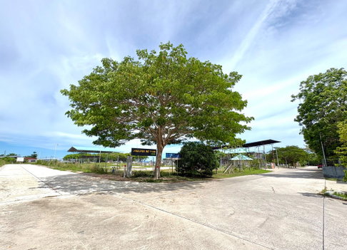 Call : 098-294-4666 Land for sell Road behind Wat Map Ta Phut, Map Ta Phut Subdistrict, Mueang Rayong