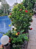 listing thumbnail image 22