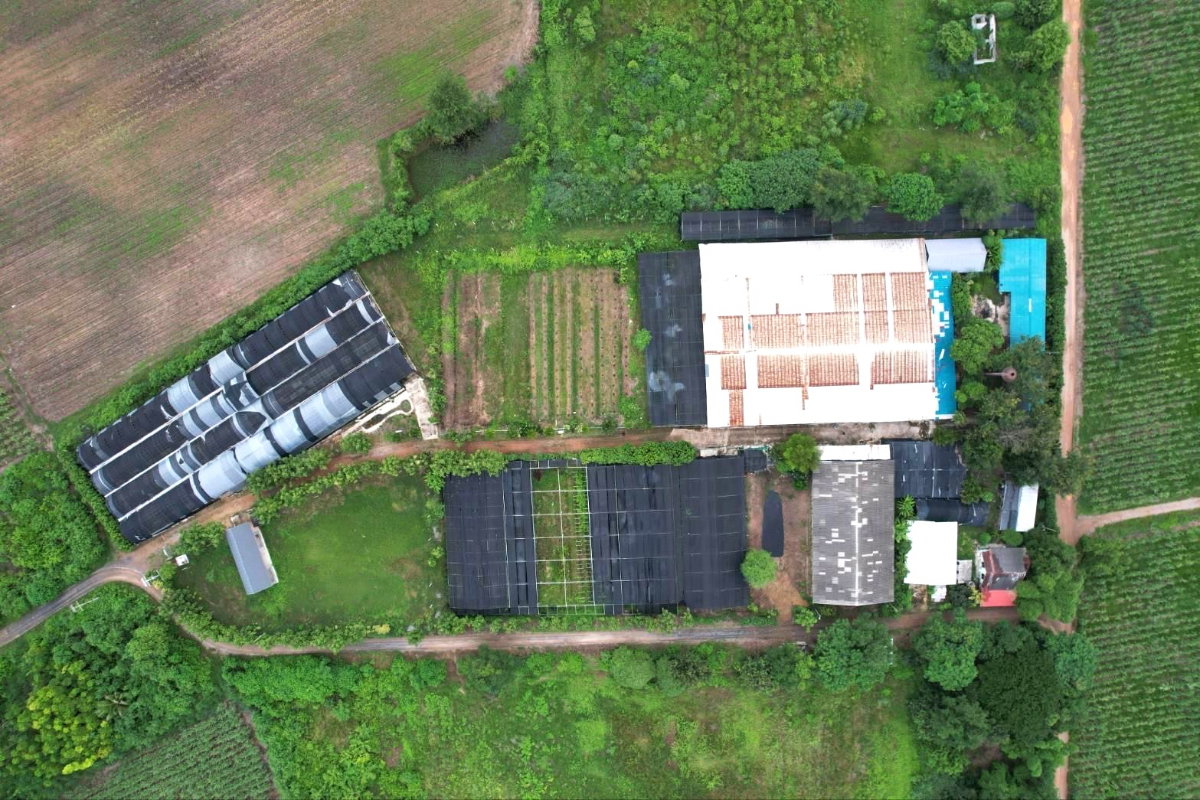 รูป ขายที่ดินสวย พร้อมสิ่งปลูกสร้าง โรงเรือน 9 ไร่ ต.บ้านใหม่ อ.ท่าม่วง จ.กาญจนบุรี - รูปที่ 5/8