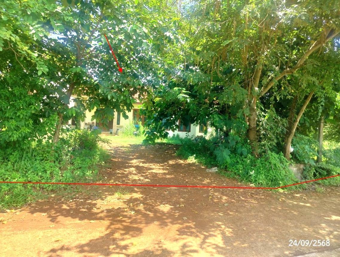 picture HOME 308 Sq.w. Akat Amnuai Sakon Nakhon for 3.2M - 8/14