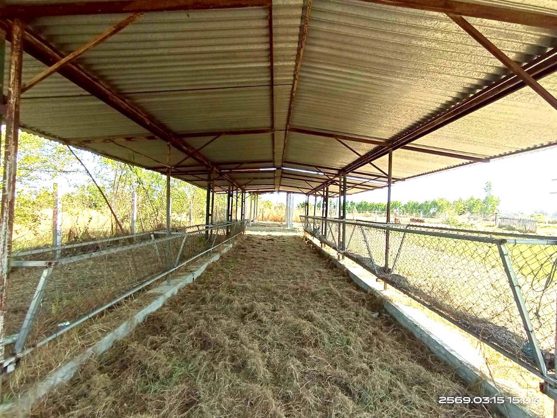 picture FACTORY 12659 Sq.w. Phayakkhaphum Phisai Maha Sarakham for 5.4M - 40/50