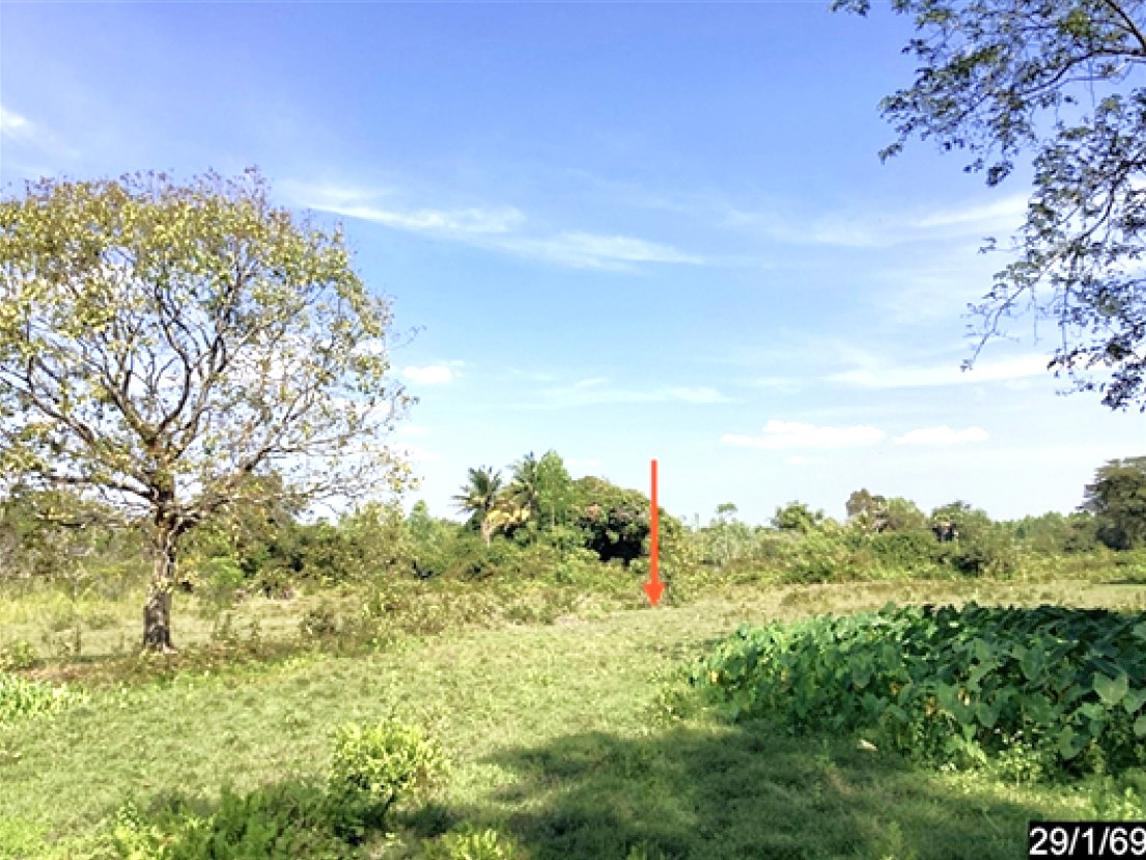 picture LAND 3170 Sq.w. Chum Phuang Nakhon Ratchasima for 5.5M - 11/16