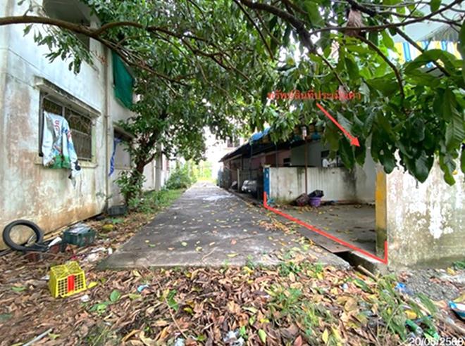 picture TOWN HOUSE 20.8 Sq.w. Singha Nakhon Songkhla for 1.4M - 4/14