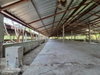 listing thumbnail image 26