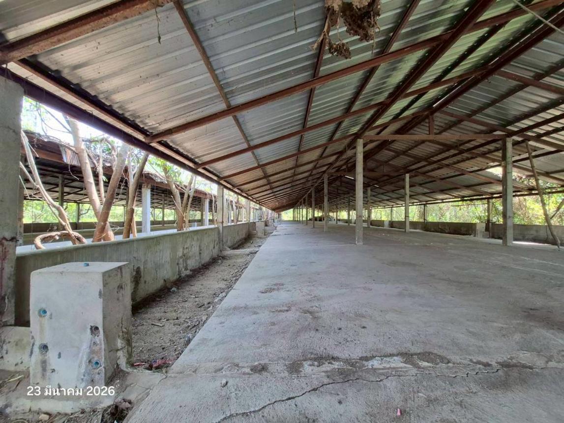 picture FACTORY 4023 Sq.w. Wiang Chai Chiang Rai for 4.5M - 27/34