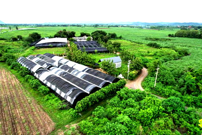 Land for sale Tha Muang Kanchanaburi : Land for sale with warehouse, 9 rai, Ban Mai Subdistrict, Tha Muang District, Kanchanaburi Province.