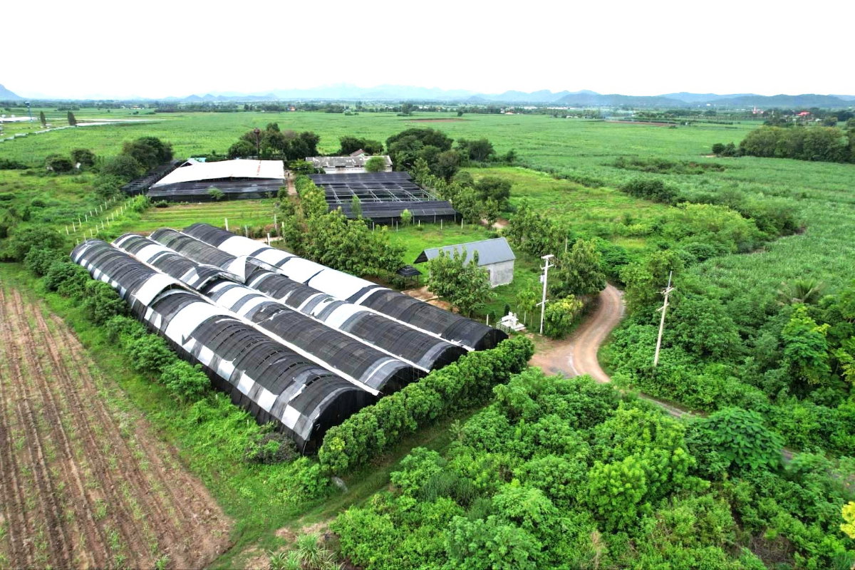 รูป ขายที่ดินสวย พร้อมสิ่งปลูกสร้าง โรงเรือน 9 ไร่ ต.บ้านใหม่ อ.ท่าม่วง จ.กาญจนบุรี - รูปที่ 1/8