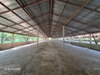 listing thumbnail image 22