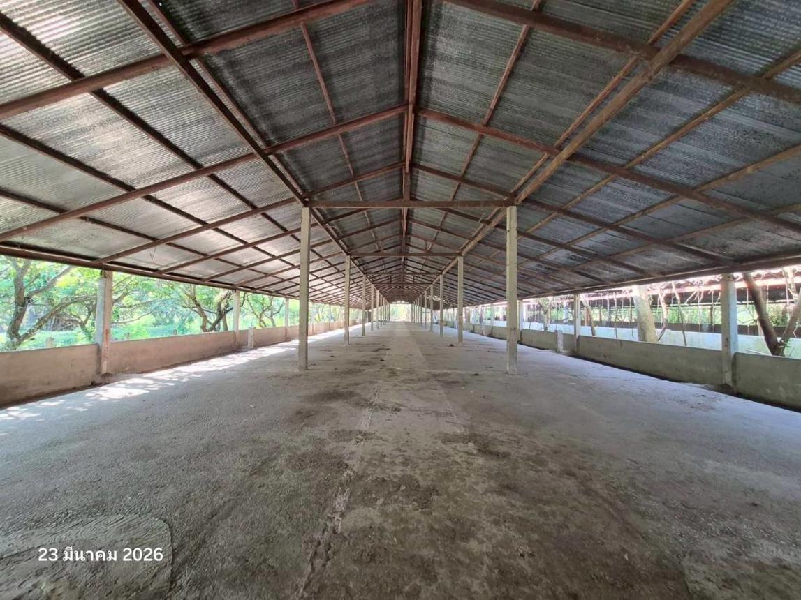 picture FACTORY 4023 Sq.w. Wiang Chai Chiang Rai for 4.5M - 23/34