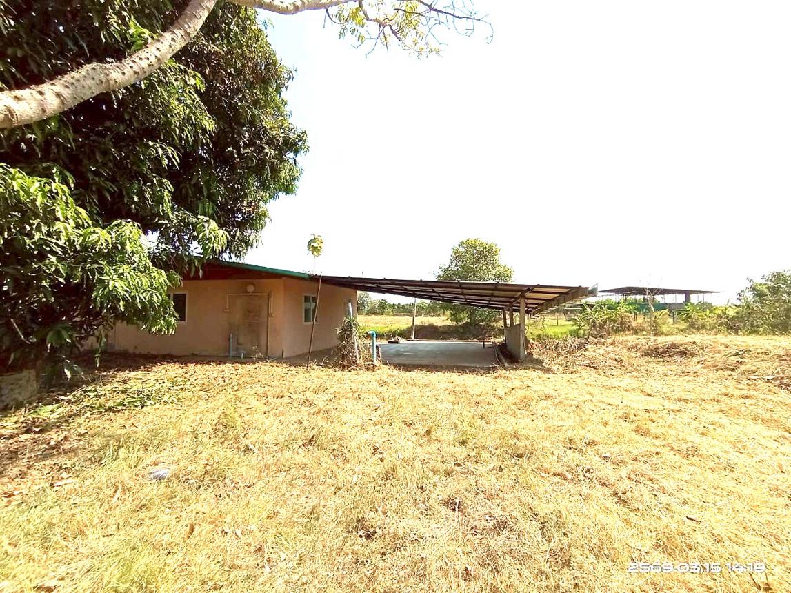 picture FACTORY 12659 Sq.w. Phayakkhaphum Phisai Maha Sarakham for 5.4M - 29/50