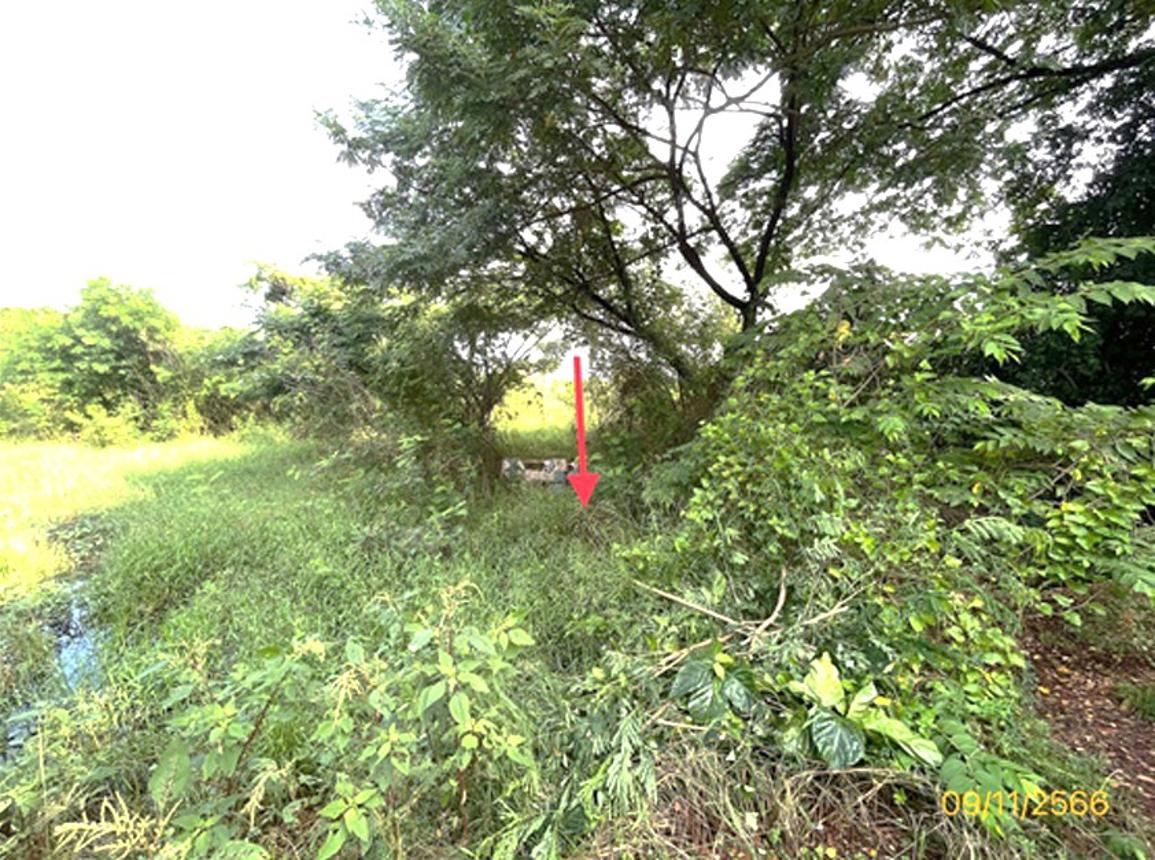 picture LAND 96 Sq.w. Muang Ratchaburi Ratchburi for 1.2M - 12/16