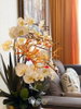 listing thumbnail image 21