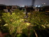 listing thumbnail image 51