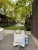 listing thumbnail image 19