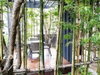 listing thumbnail image 13