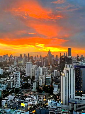 คอนโดให้เช่า : คอนโด 1-ห้องนอน ที่ แอชตัน อโศก ใกล้ MRT สุขุมวิท (ID 2589956)